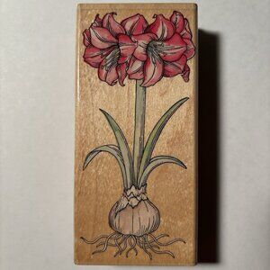 Rubber Stampede Wood Mounted Stamp Amaryllis Flower Floral Art Image Garden